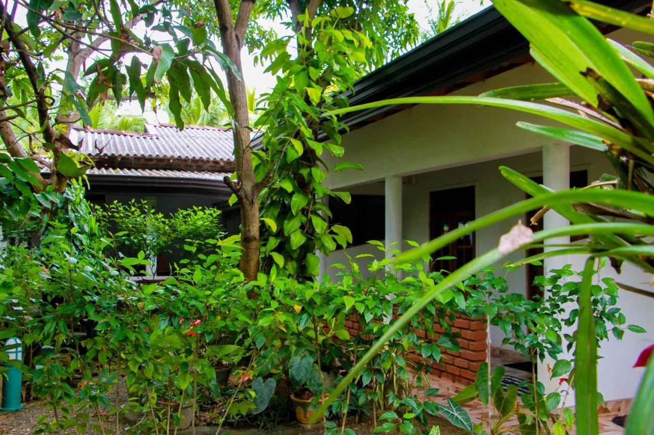 Galaxy View Homestay シギリヤ エクステリア 写真